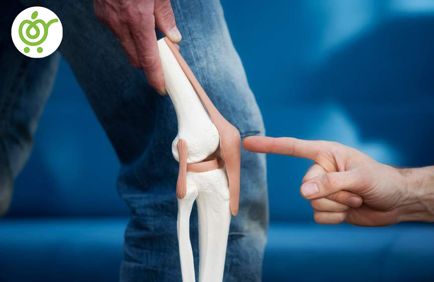 بررسی-کامل-علل-پارگی-مینیسک-زانو-55