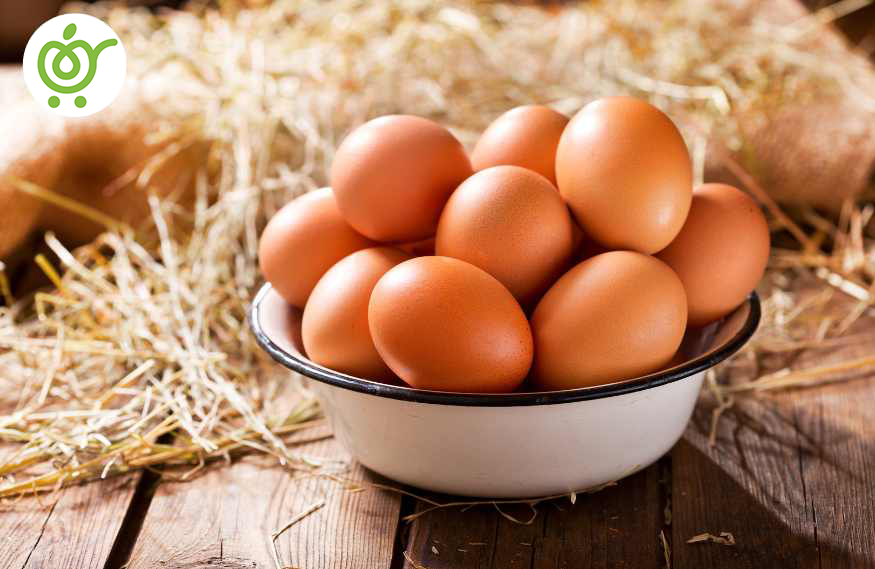 بهترین-صبحانه-برای-دیابتی-ها-تخم-مرغ بهترین-صبحانه-برای-دیابتی-ها-تخم-مرغ