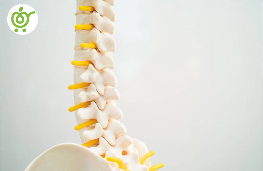 بیماری‌های-ستون-فقرات-32