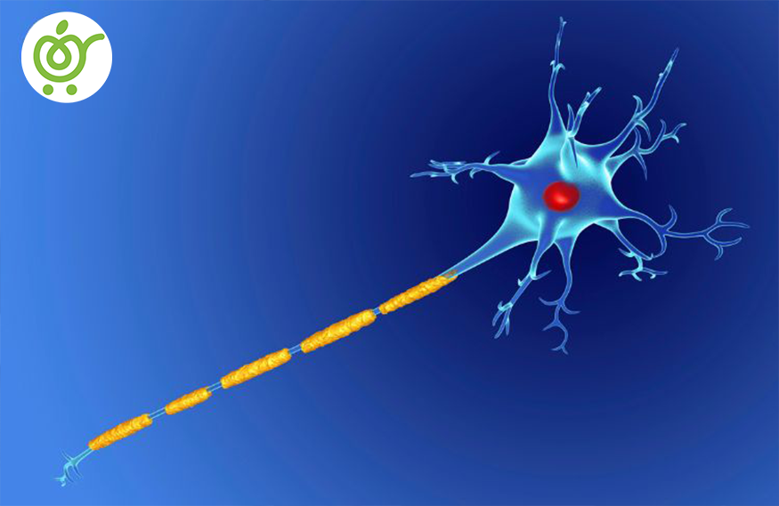 بیماری-ام-اس-142 بیماری-ام-اس-142