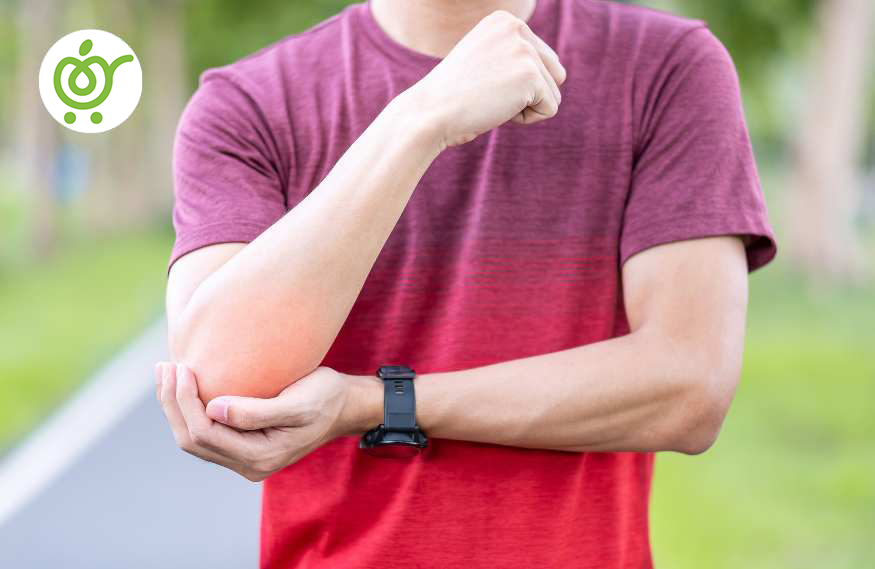 تاندون-و-رباط‌ها-در-آناتومی-آرنج-98