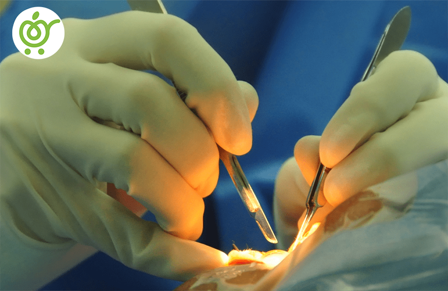 تمام-آنچه-که-در-مورد-روماتیسم-ستون-فقرات-باید-بدانید!-عمل-جراحی تمام-آنچه-که-در-مورد-روماتیسم-ستون-فقرات-باید-بدانید!-عمل-جراحی