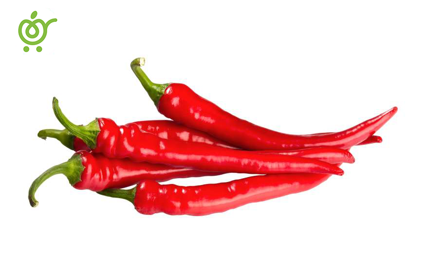 درمان-زانو-درد-با-فلفل-745