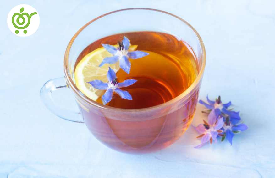 دمنوش-گل-گاوزبان-پنجمین-دمنوش-از-بهترین-دمنوش-گیاهی-برای-دیابت