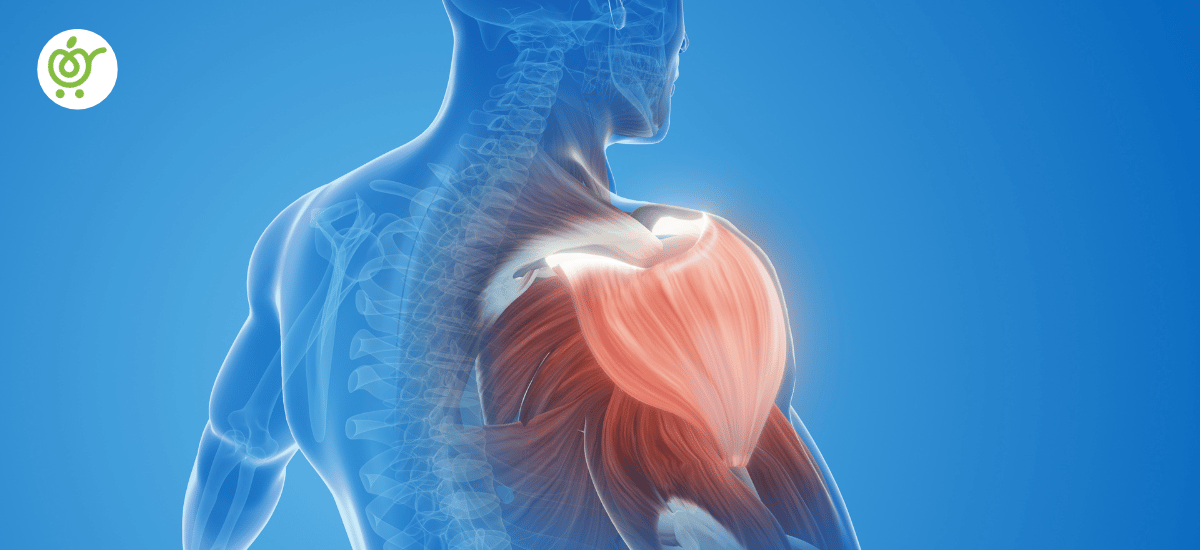 شانه-یخ-زده-2 شانه-یخ-زده-2