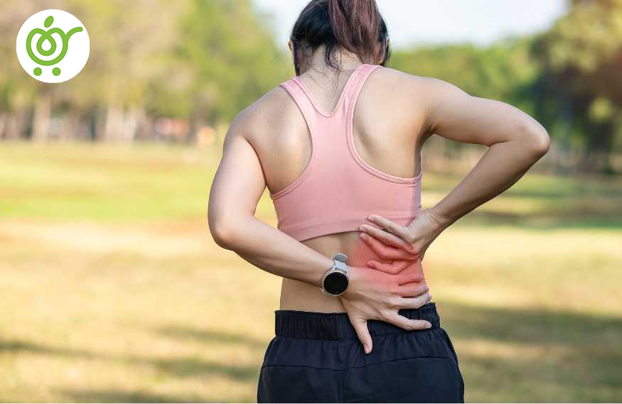 عوامل-رگ-به-رگ-شدن-کمر عوامل-رگ-به-رگ-شدن-کمر