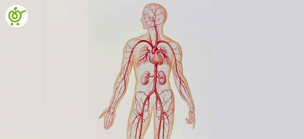 مشکلات-عروقی