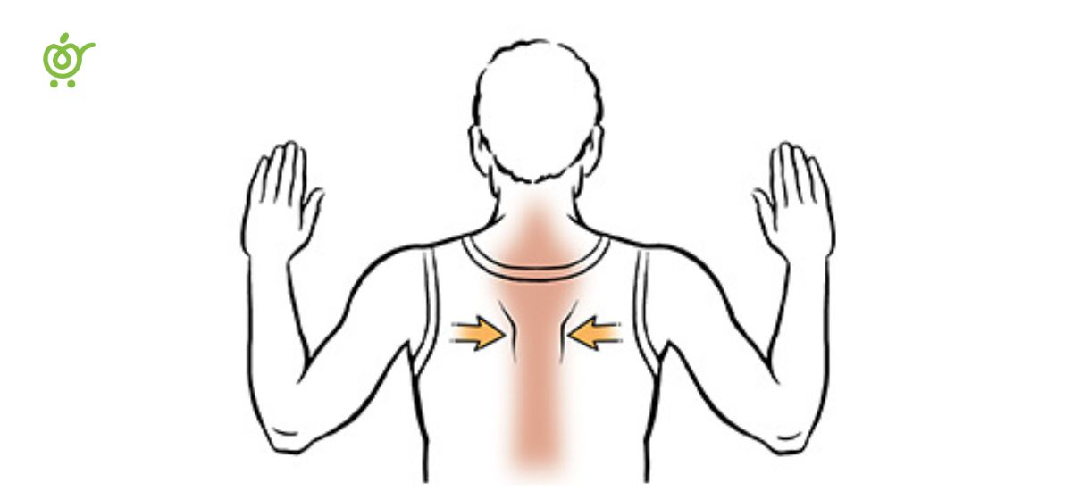 Shoulder-Blade-Squeeze