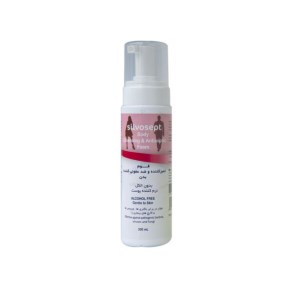 bodyfoam_2 bodyfoam_2