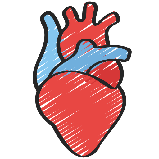 heart heart