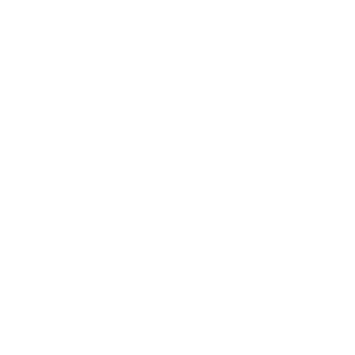 shoes shoes