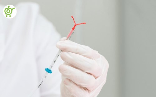 ایودی-چیست-min