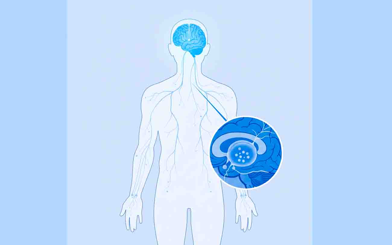 بیماری-پارکینسون بیماری-پارکینسون