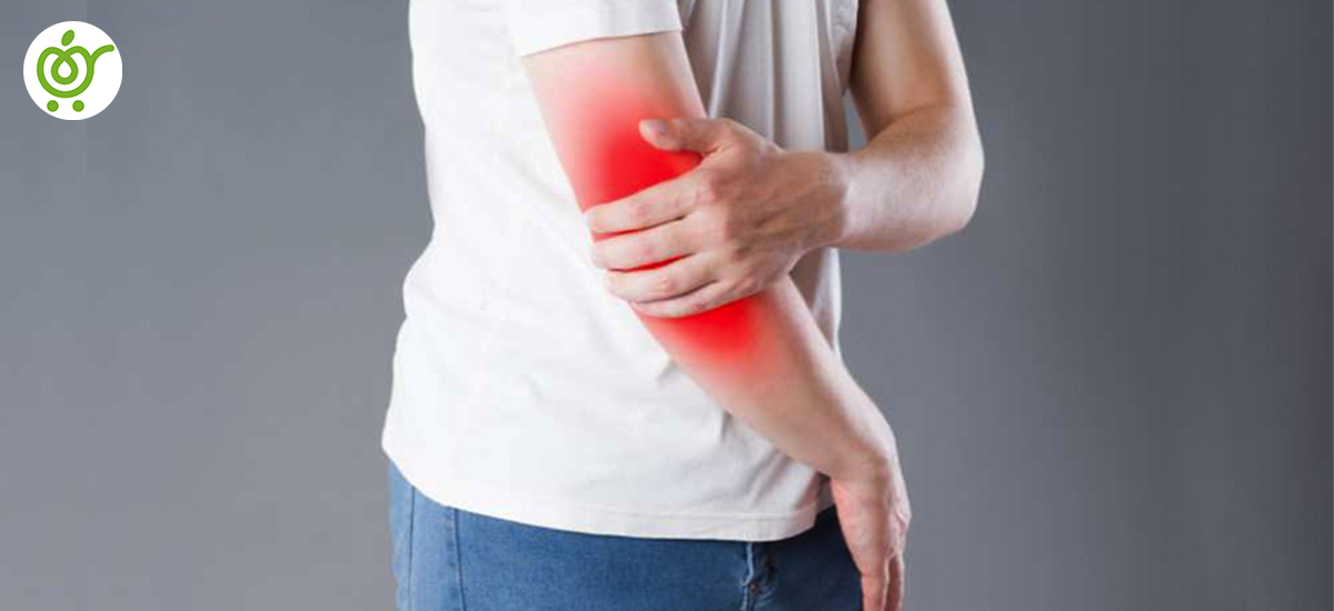 تاندون‌ها-و-رباط‌ها