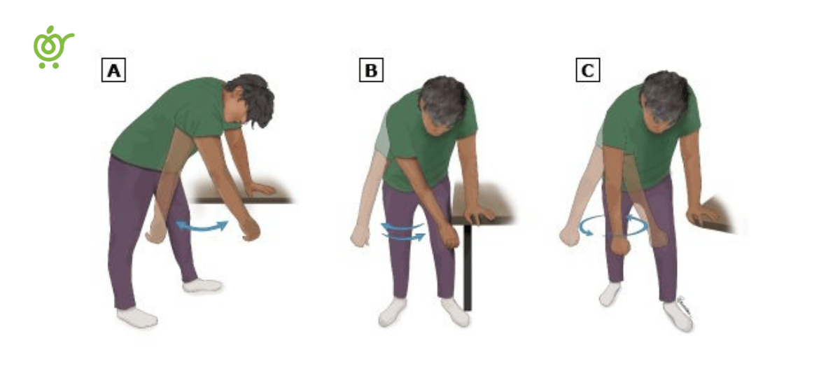 تمرین-پاندولی تمرین-پاندولی