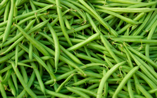 خواص_لوبیا-سبز