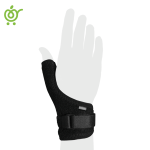 شست-بند-اکو شست-بند-اکو