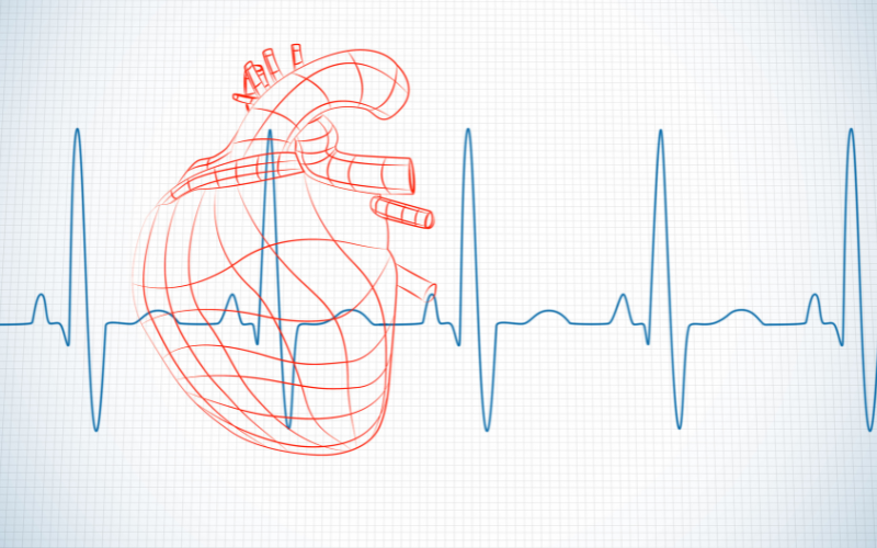 ضربان-قلب ضربان-قلب