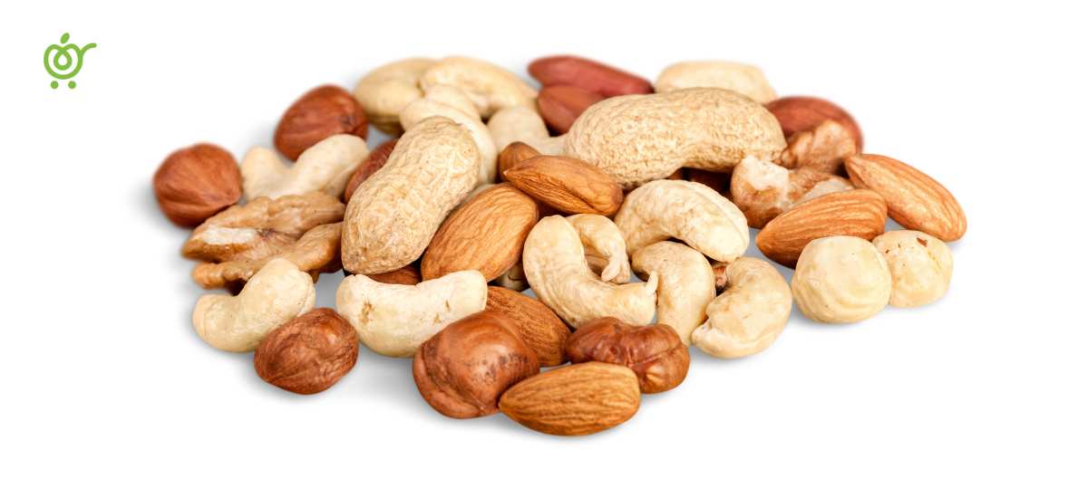 مغذیجات مغذیجات