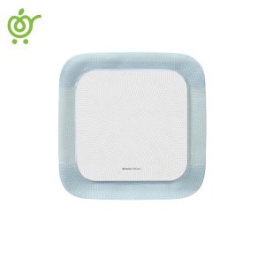 پانسمان-بیوتین