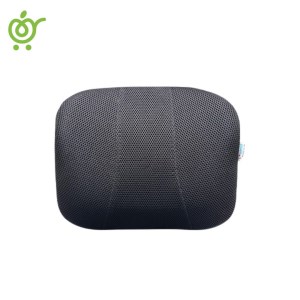 پشتی-طبی-خودرویی-سفیر-باراد-مدل-LS4-2